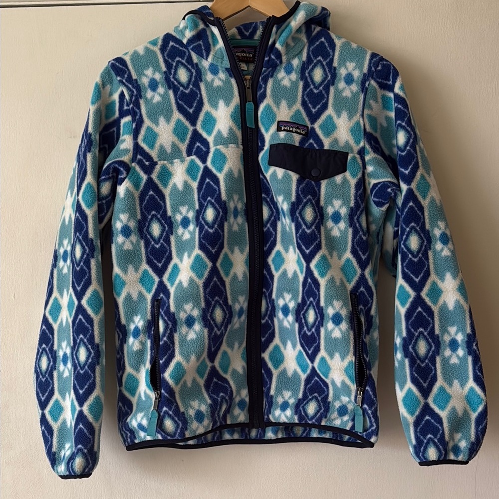 Patagonia Hooded Synchilla Full Zip Fleece Jacket